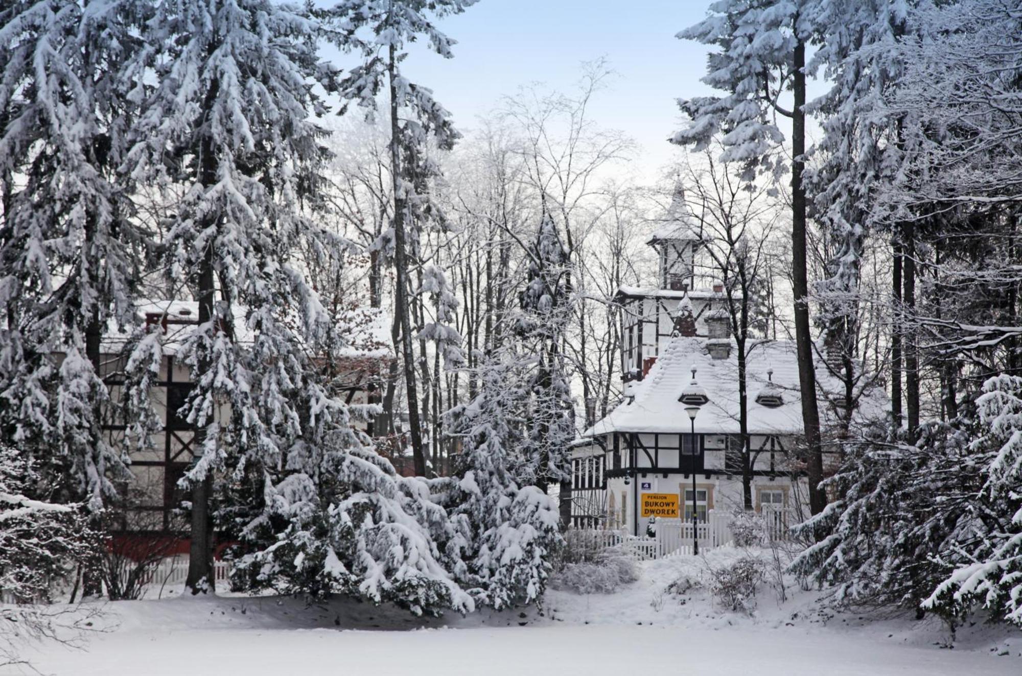 Bukowy Dworek Bad Salzbrunn Exterior foto